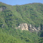 tabiat zwao (67)